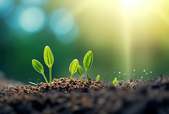 Getting started with investing