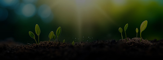 Getting started with investing
