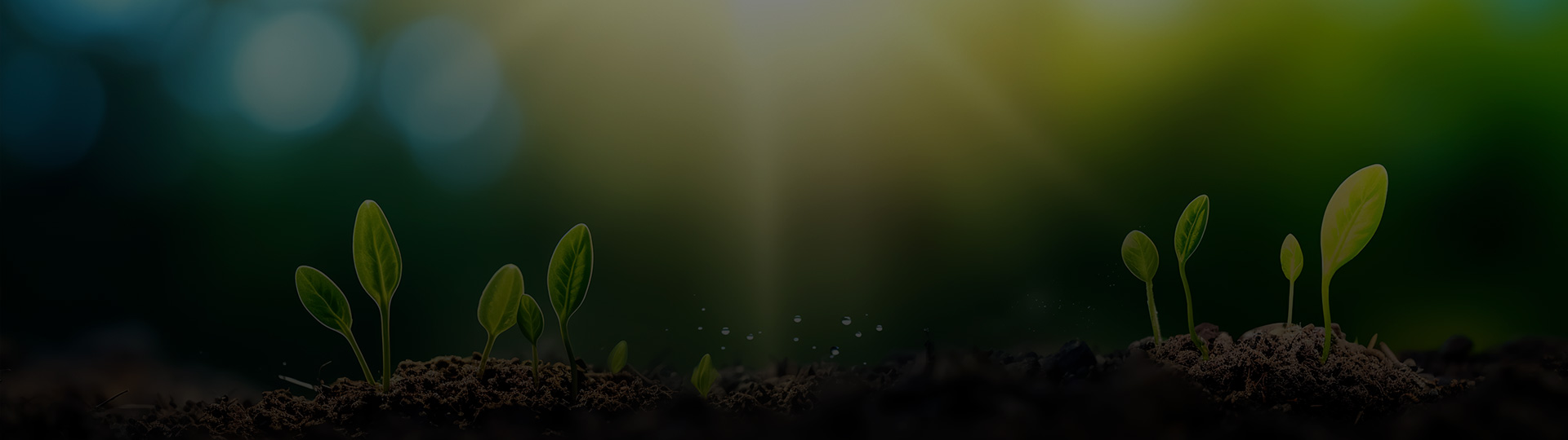 Getting started with investing